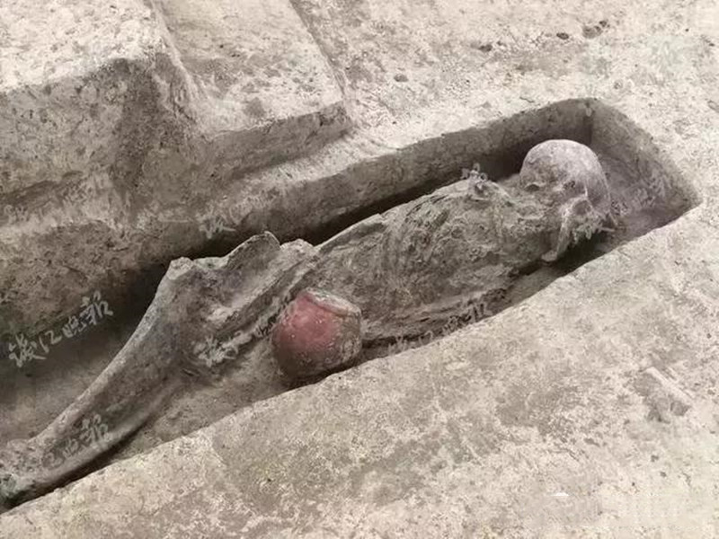 义乌距今8000多年的男性人骨.jpg